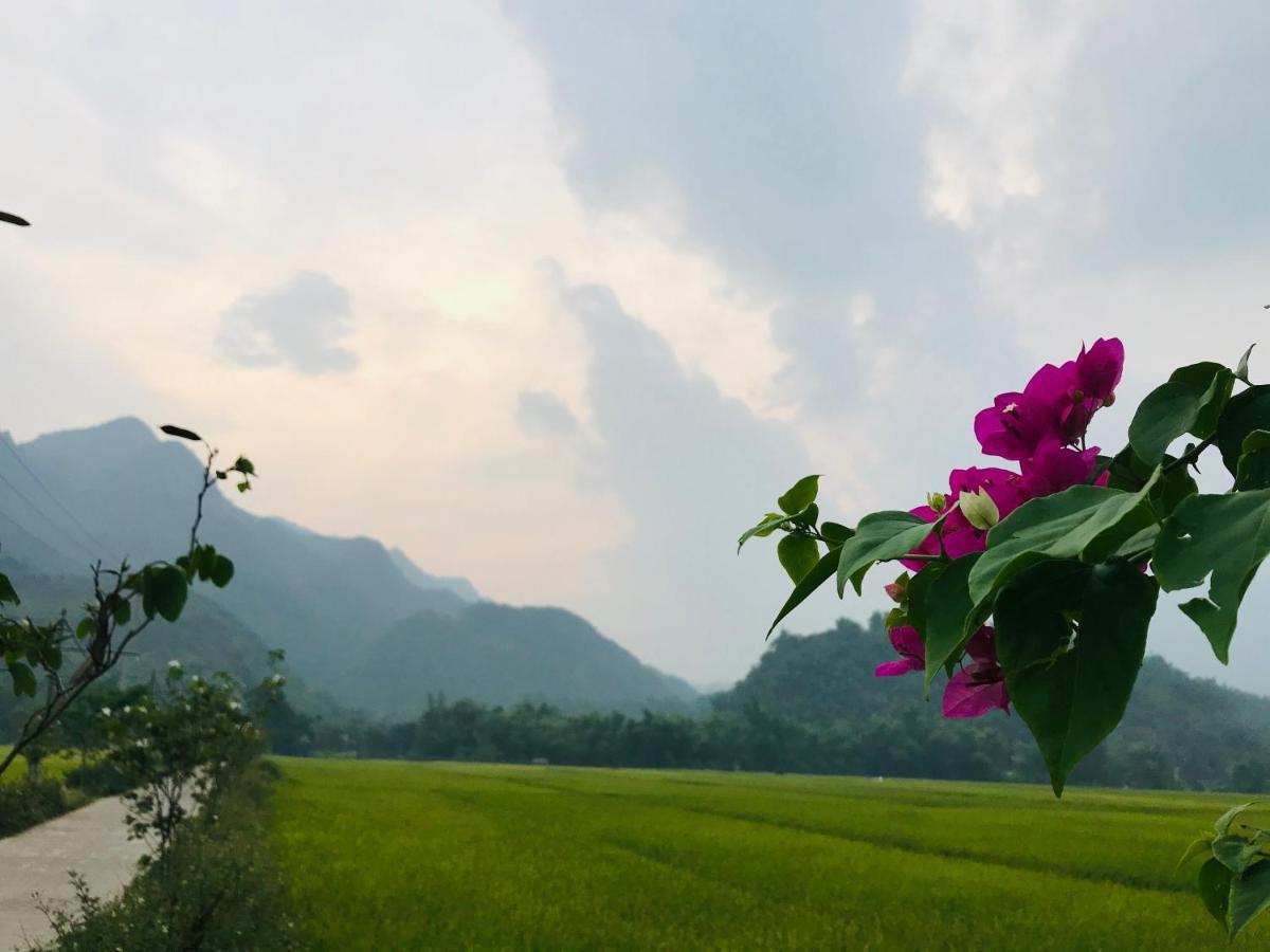 Jomo House Mai Chau Hotel Hoa Binh Luaran gambar