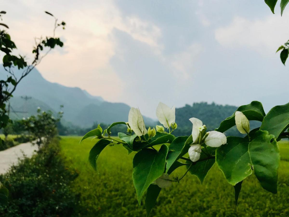 Jomo House Mai Chau Hotel Hoa Binh Luaran gambar